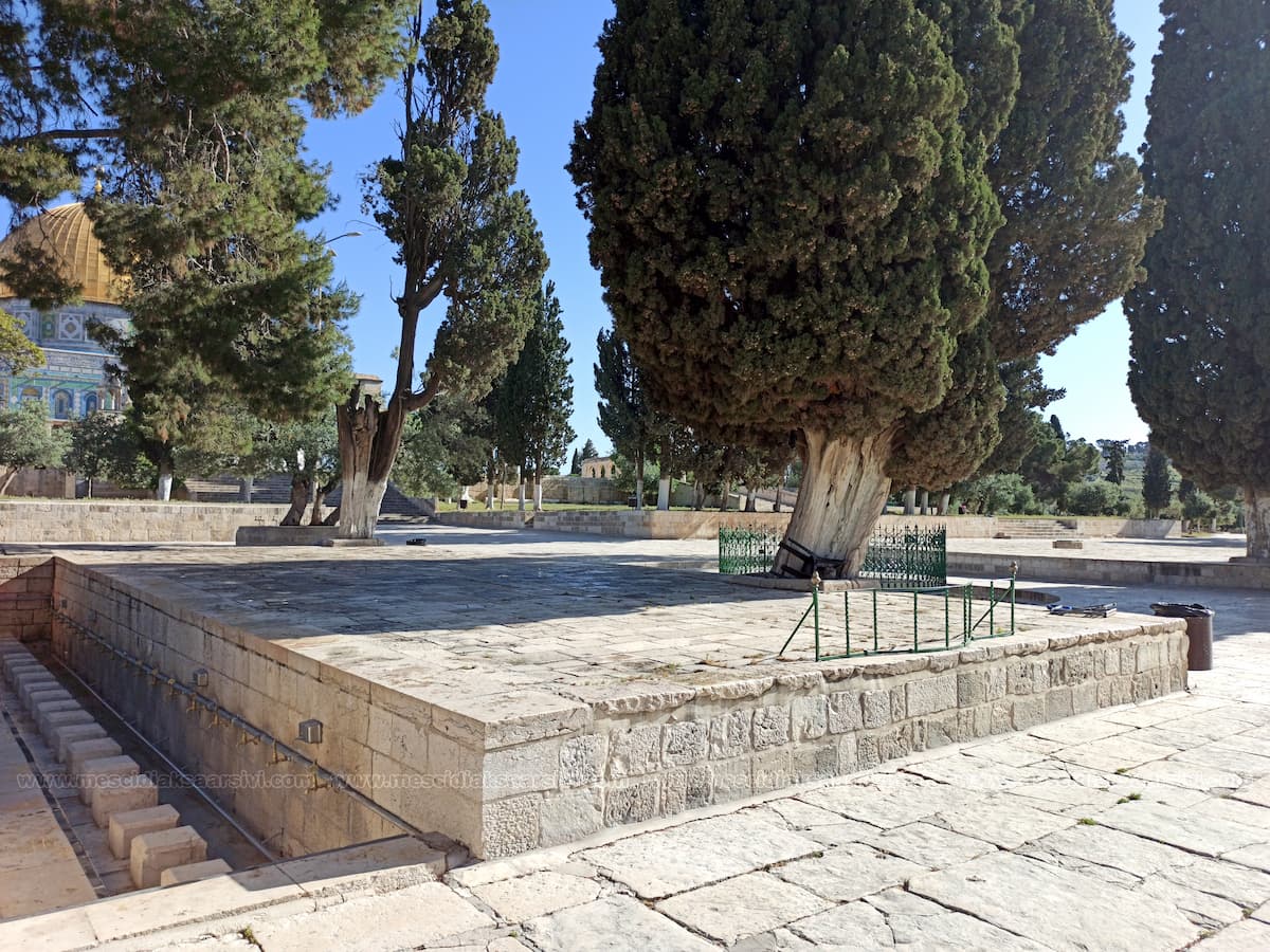 Şadırvan Namazgâhı