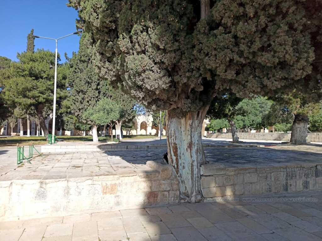 Şadırvan Namazgahı