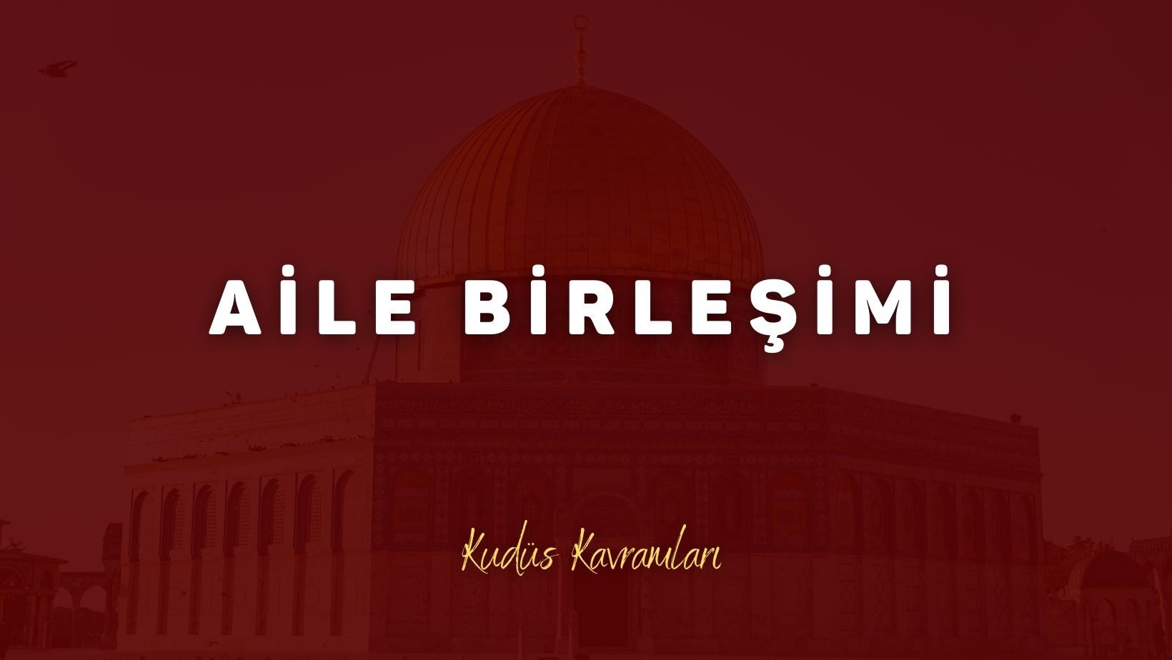 Aile Birleşimi