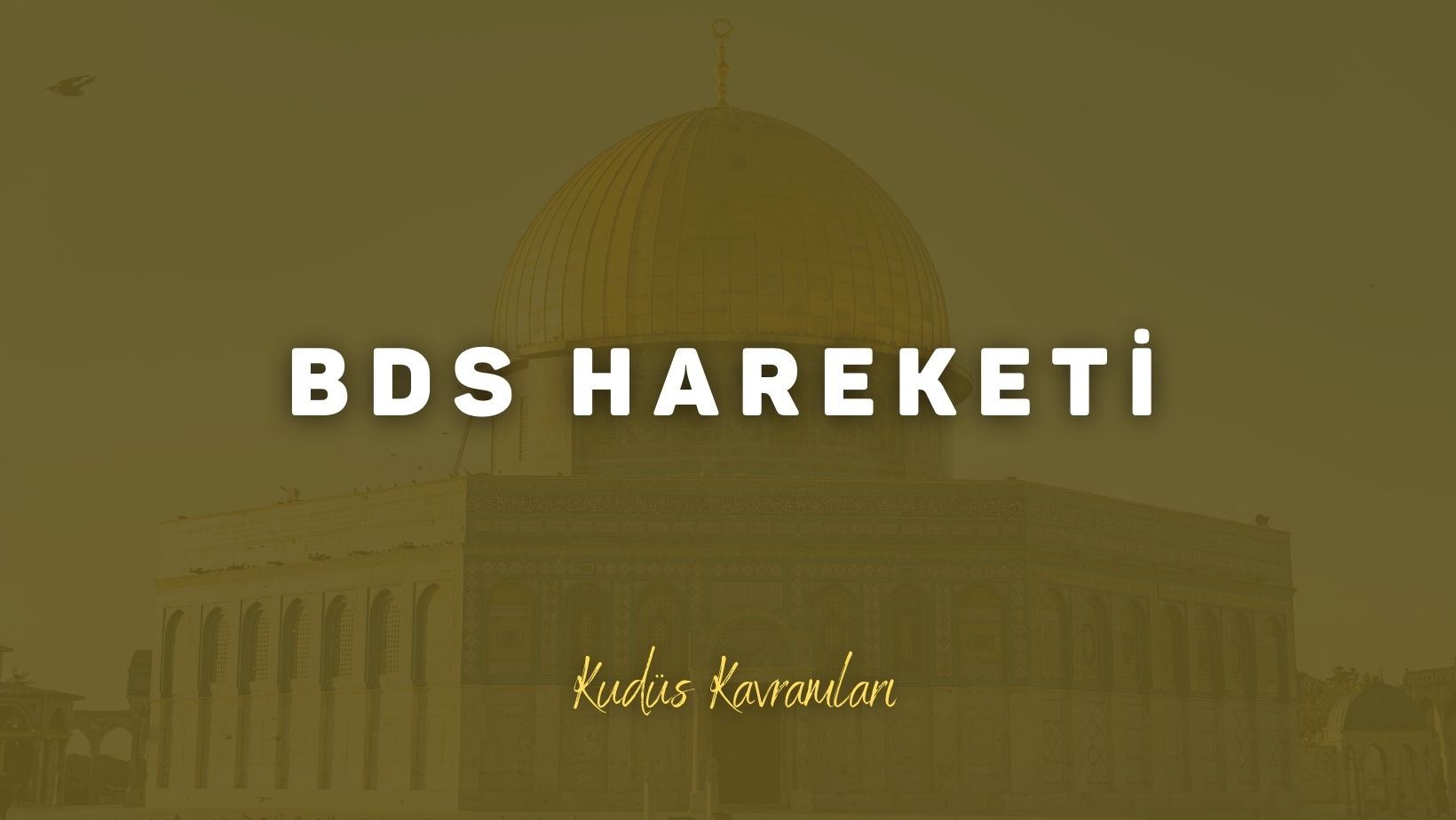 BDS Hareketi