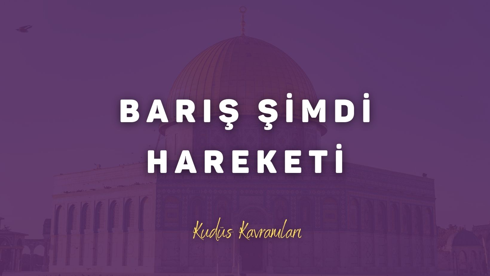 Barış Şimdi Hareketi (Peace Now)