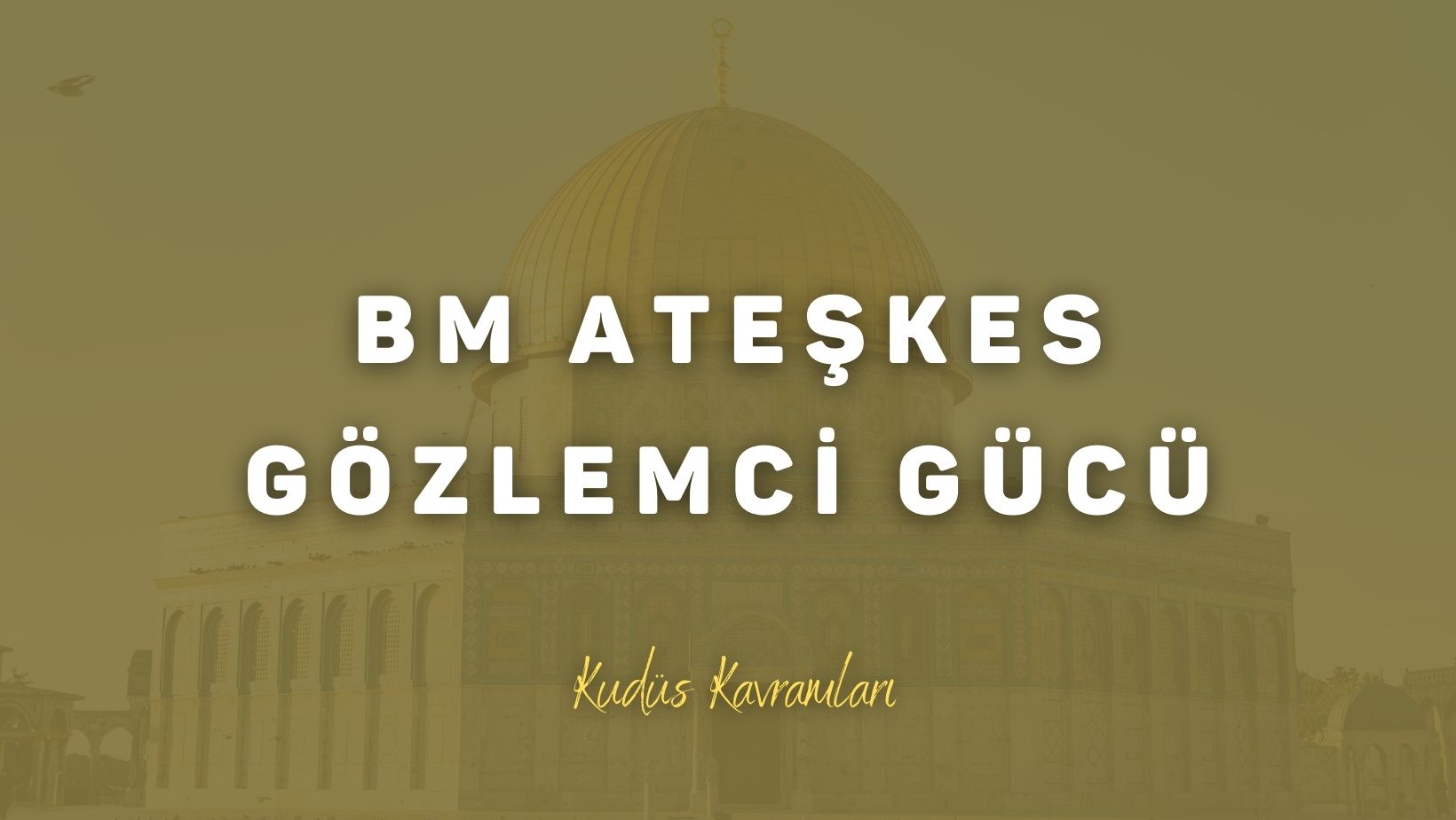 Birleşmiş Milletler Ateşkes Gözlemci Gücü