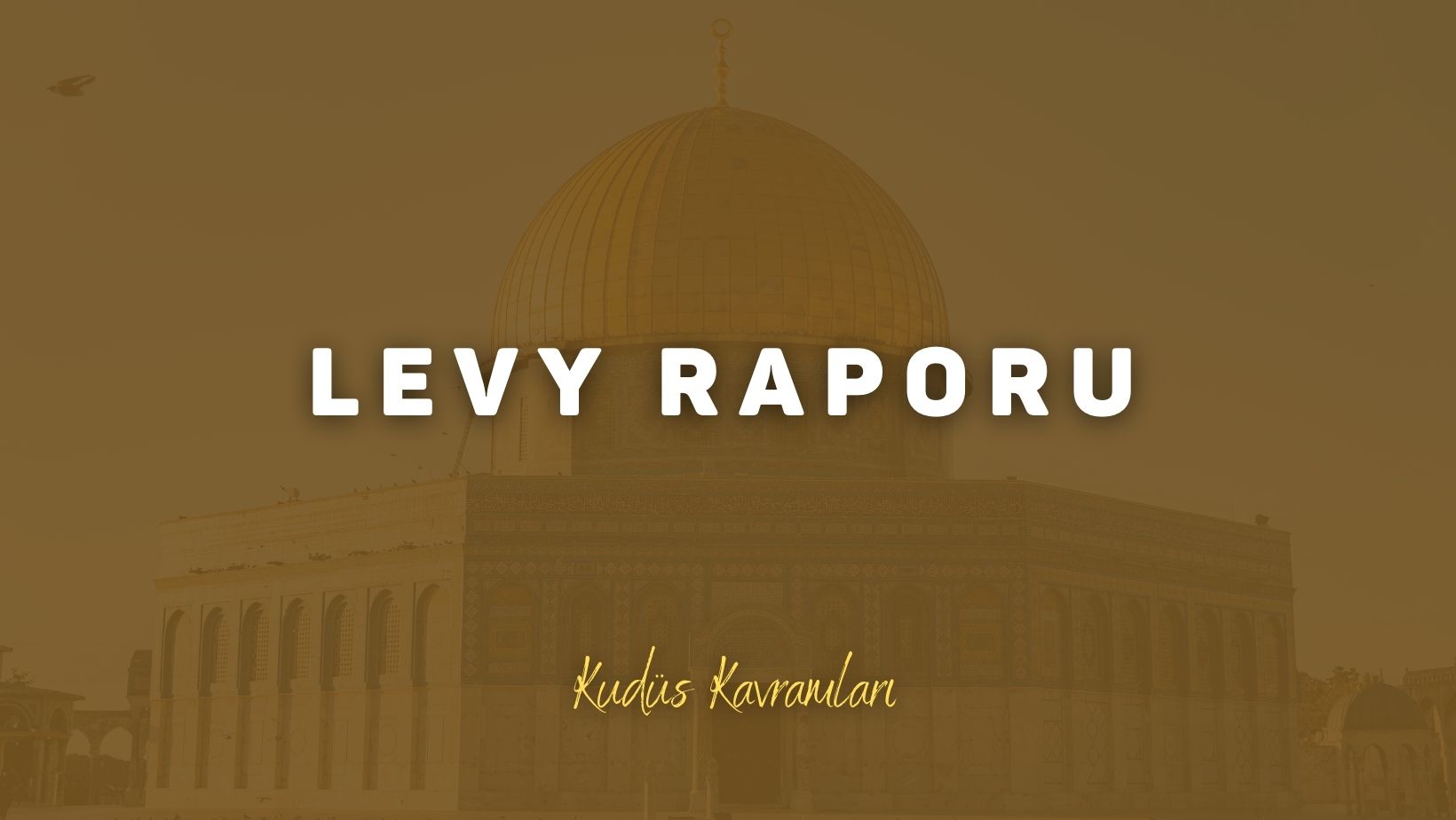 Levy Raporu