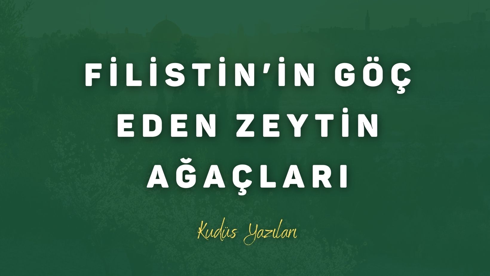Filistin`in Göç Eden Zeytin Ağaçları